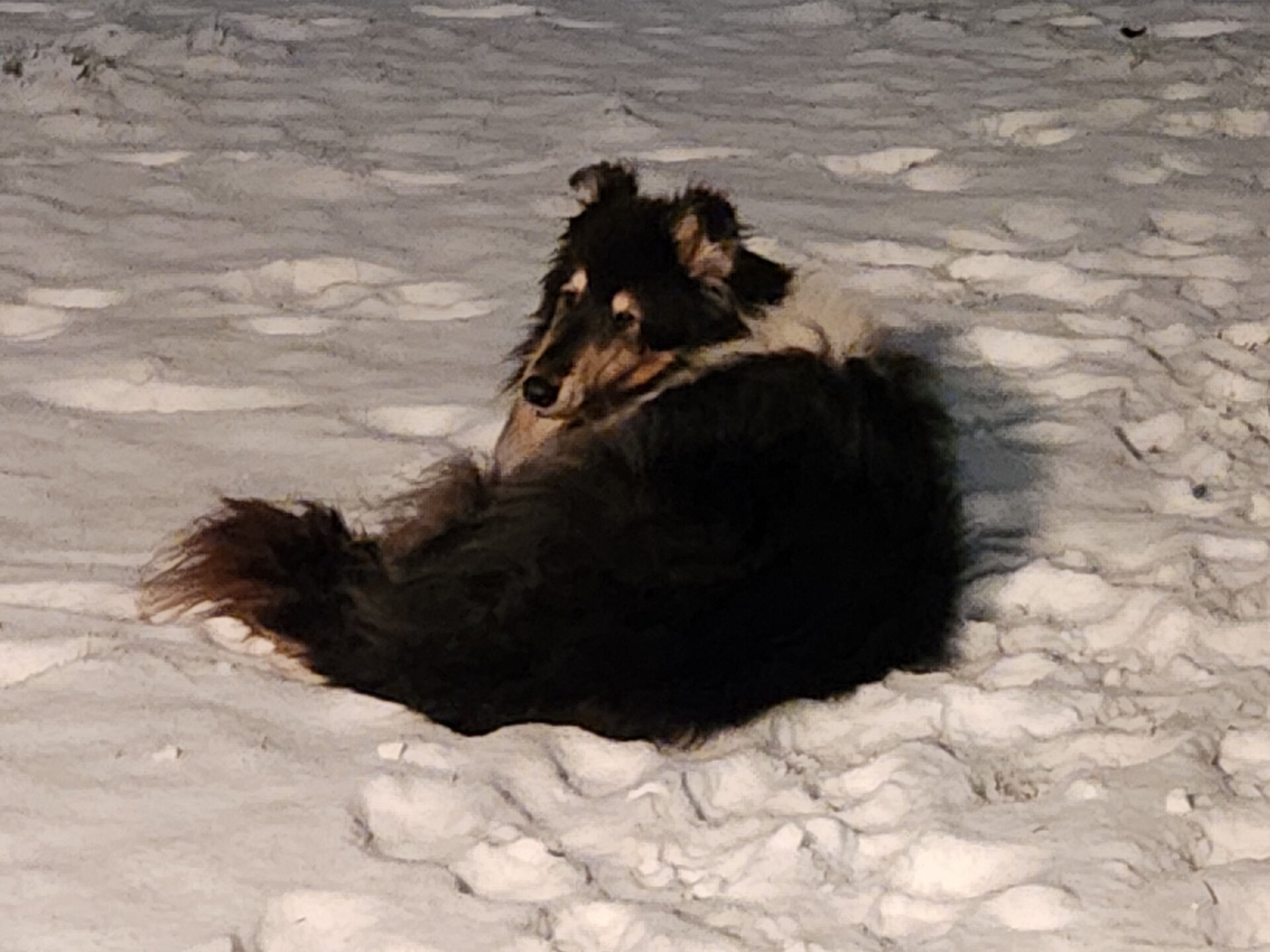 20260103_224615 50.jpg