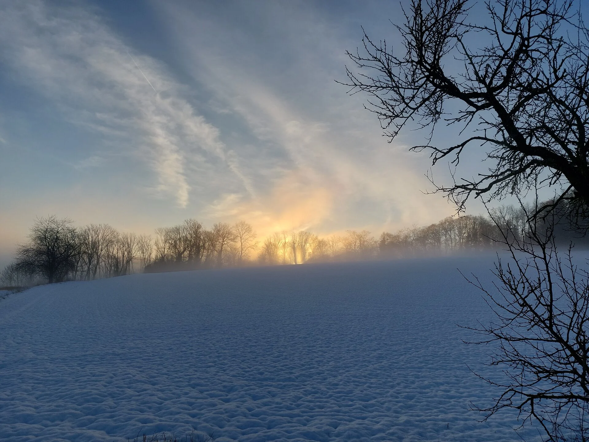 20260127_082450.webp