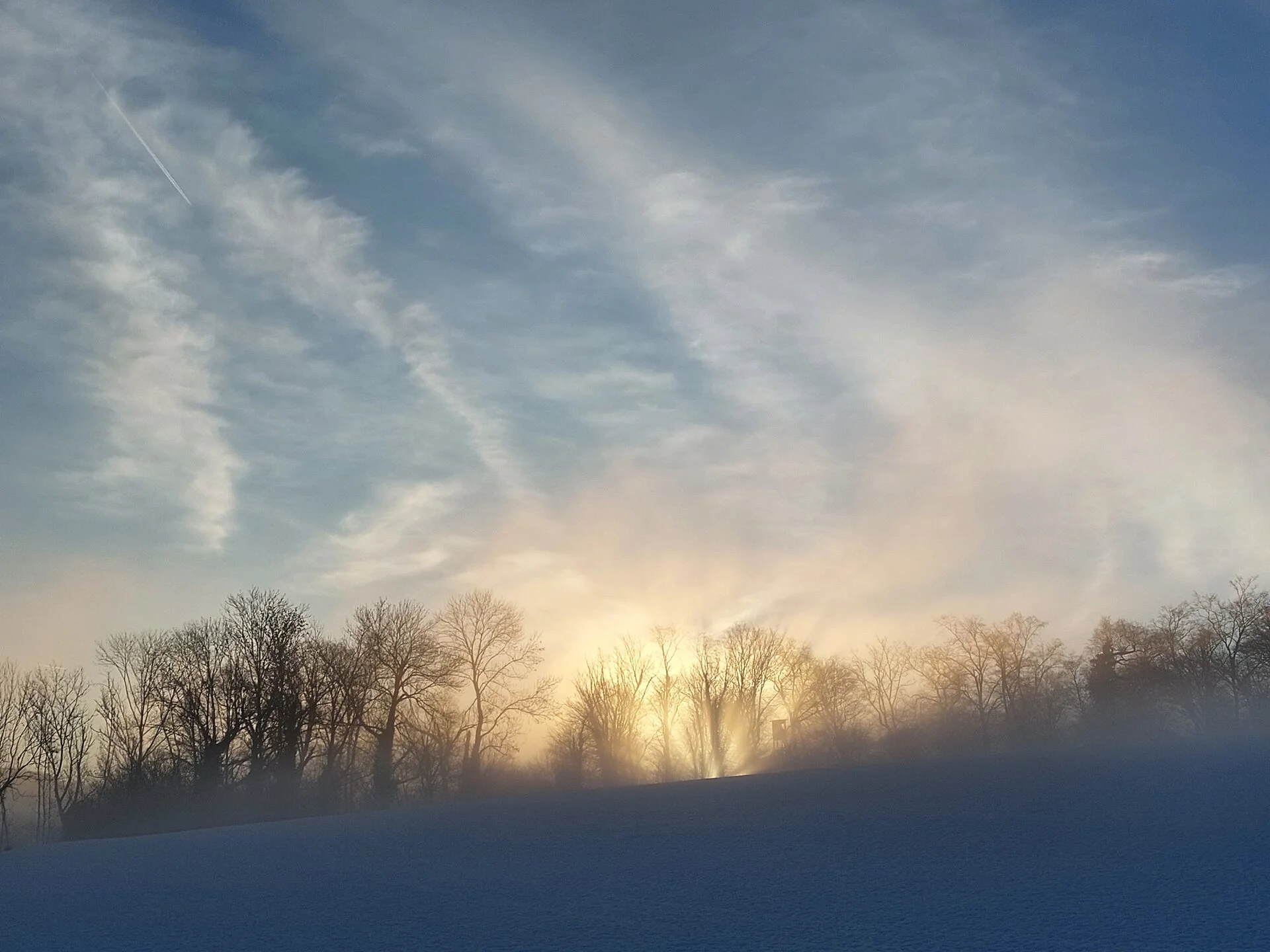 20260127_082511.webp