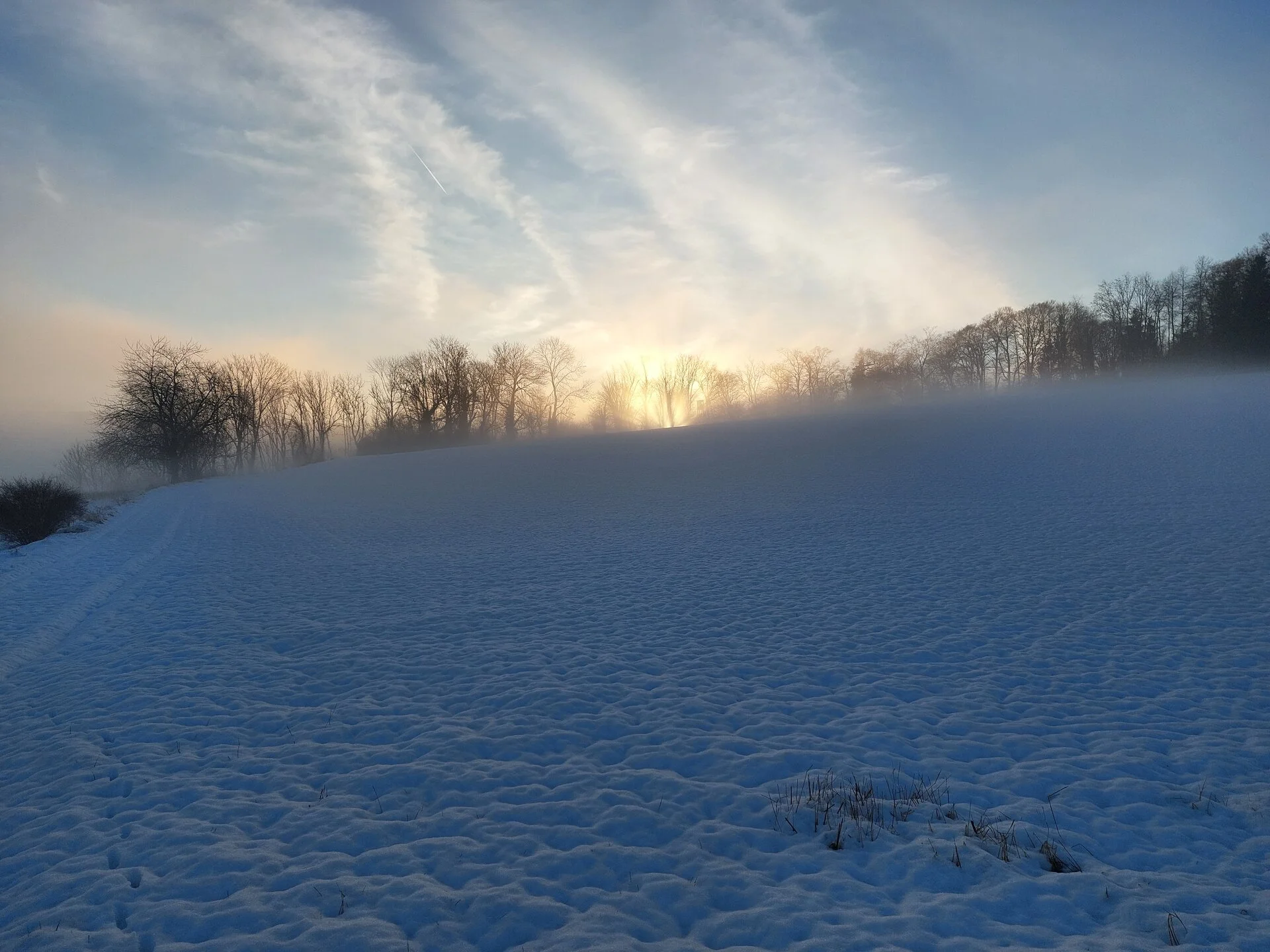 20260127_082534.webp