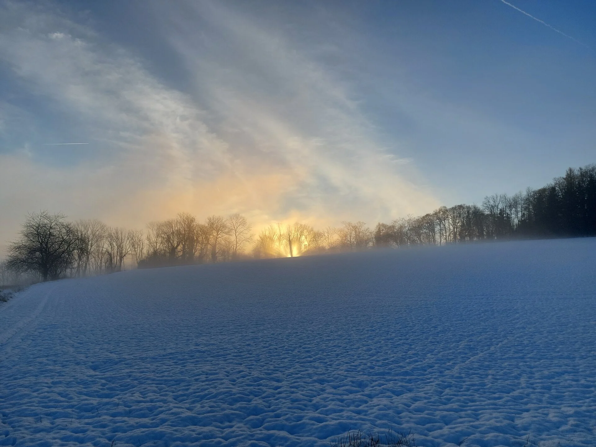 20260127_082639.webp
