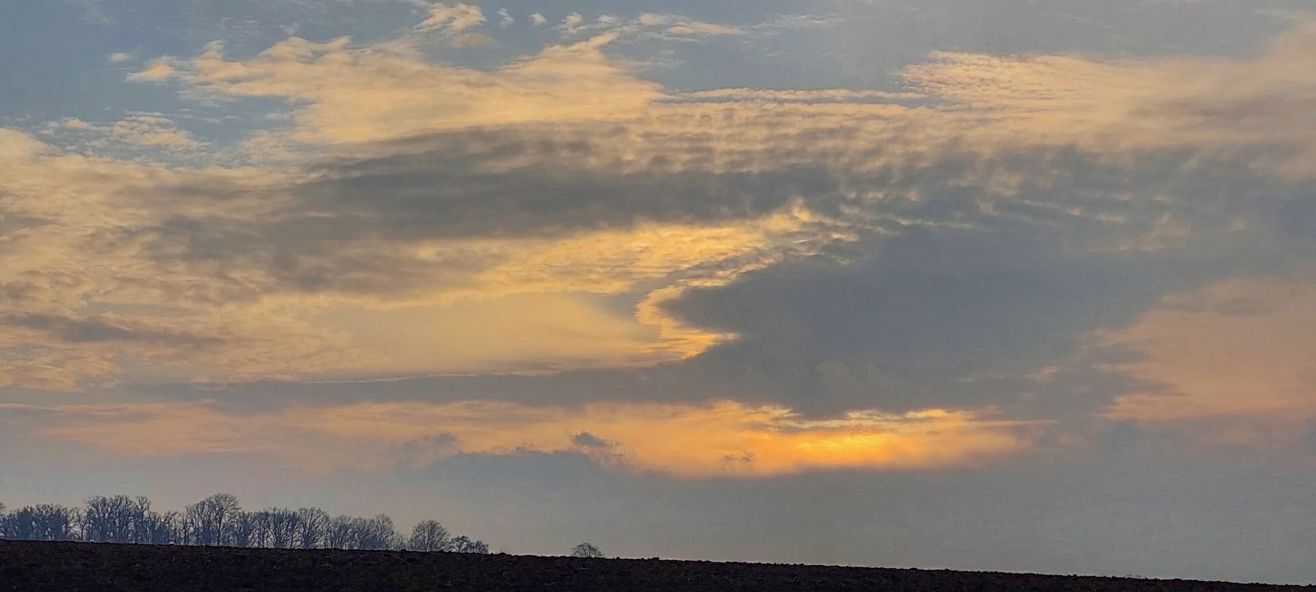 20260203_083037.jpg