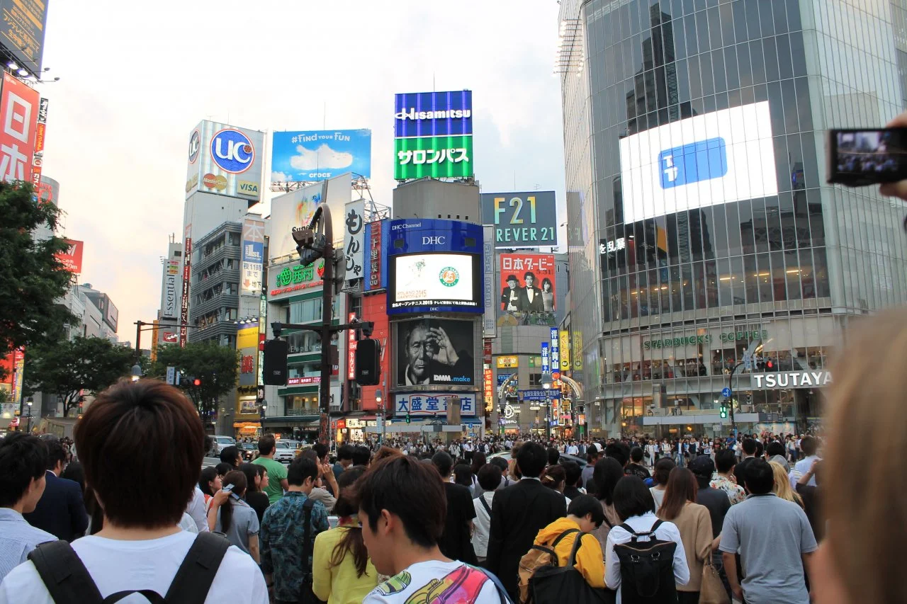 204.webp