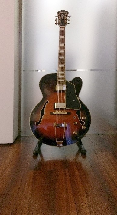 21 Ibanez Artcore AFJ 85 15.jpg