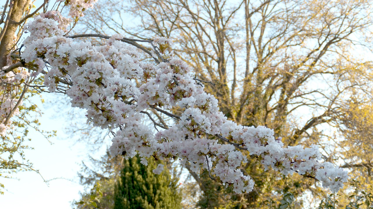 210428_0410_1280x720.jpg