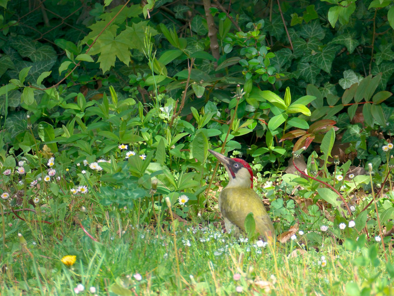 210501_0453_1280x960_1.jpg