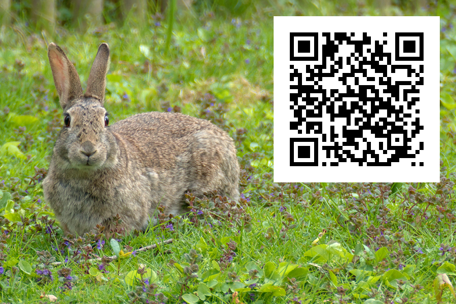 210501_0504_900x600_QR1_v2.jpg