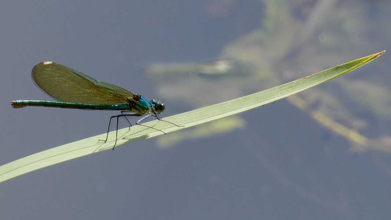210702_0935_1280x720.jpg