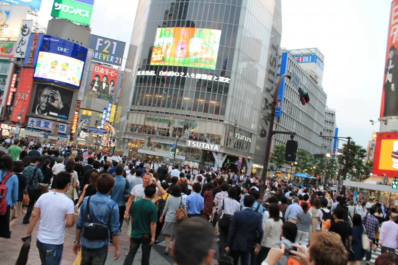 211.webp