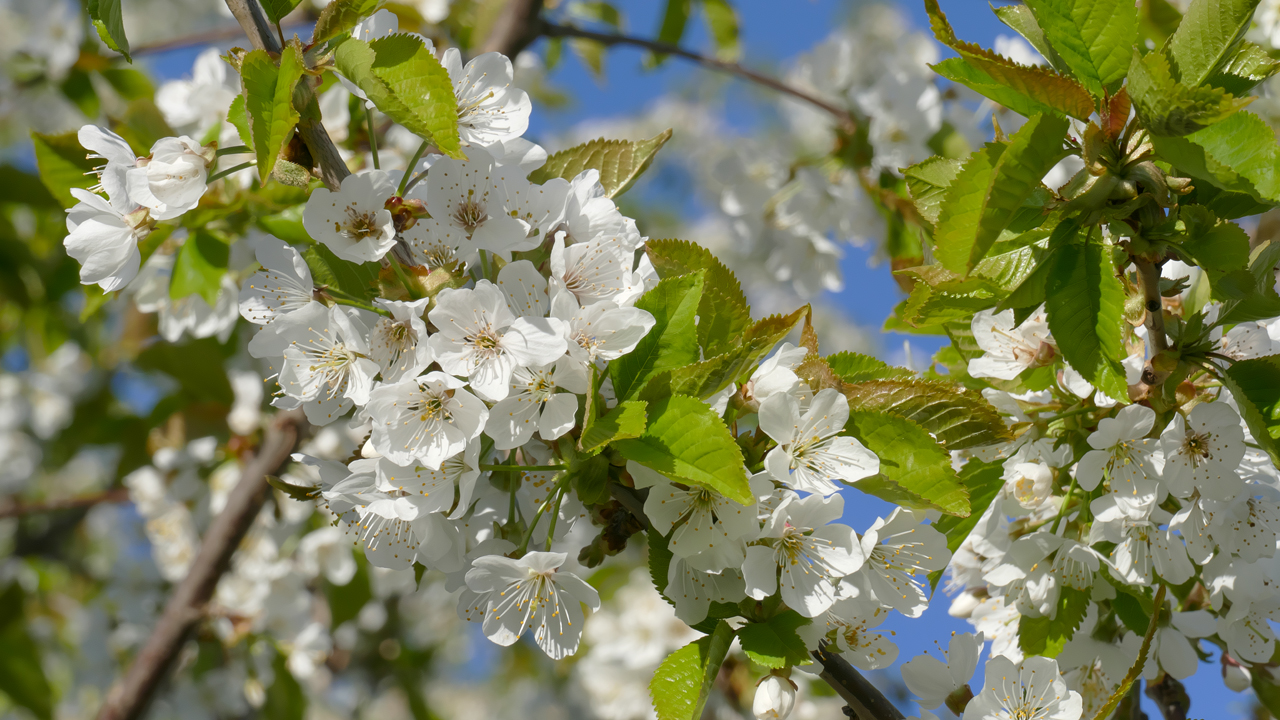 220418_0561_1280x720.jpg