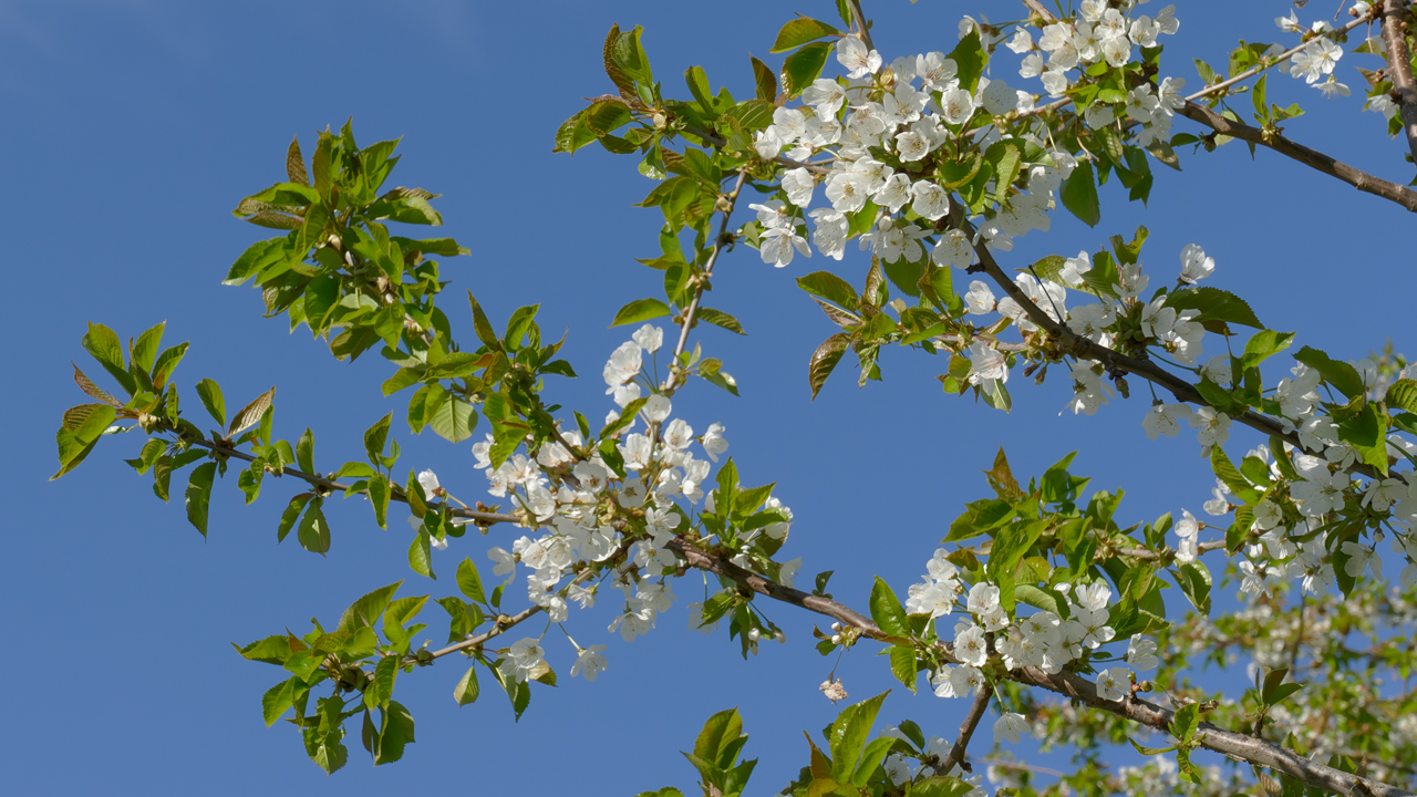 220419_0612_1280x720.jpg