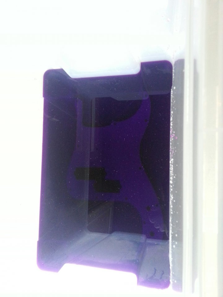 22_Pickguard_auf_Tauchstation.jpg