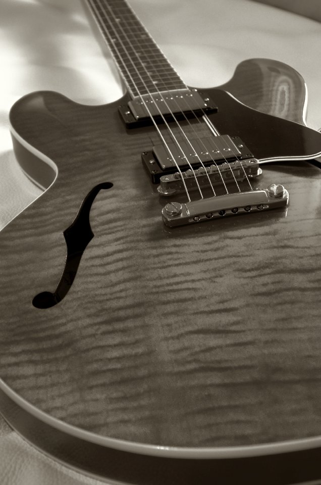 24 Gibson ES 335 Custom Shop Dot Cherry 31 bw.jpg