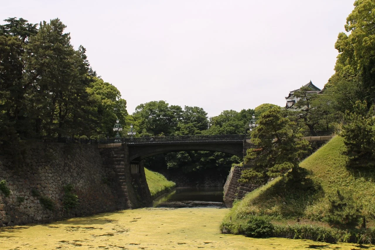 246.webp