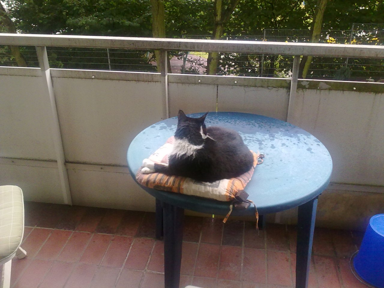 26082012068.jpg