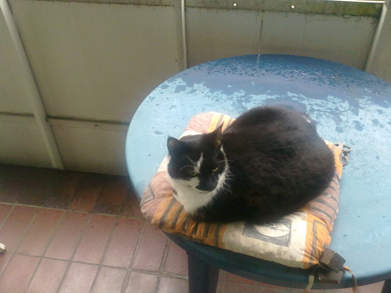 26082012072.jpg