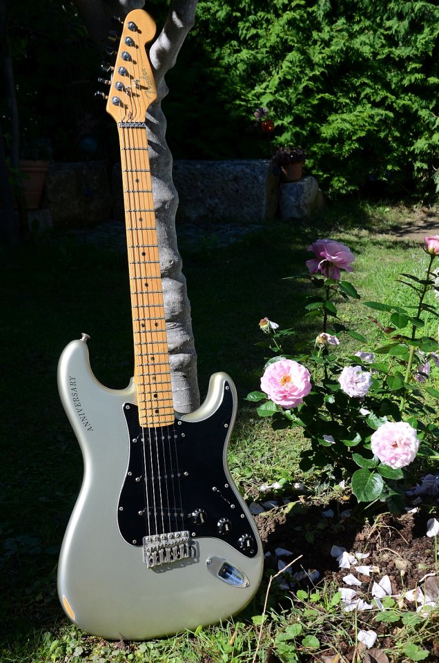 27 Fender Stratocaster 25 Anniversary 1979 20.jpg
