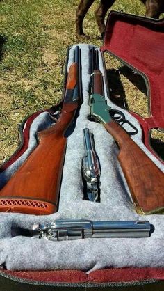 2b6e4cd3d7ef00e2be4e6659d56b39d0--guitar-case-lever-action.jpg
