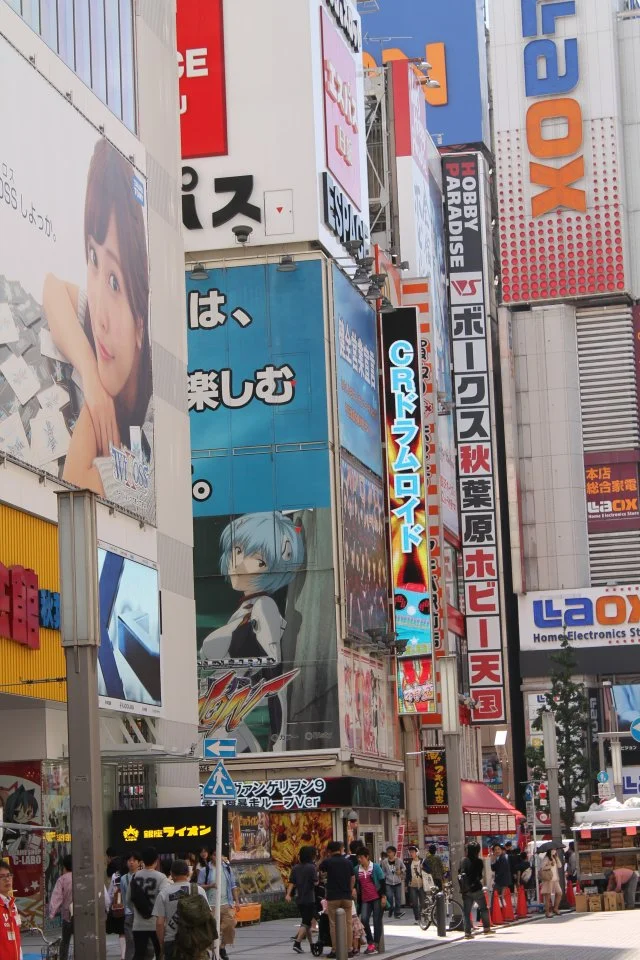 323.webp