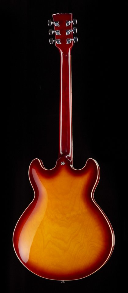 362656_back.jpg