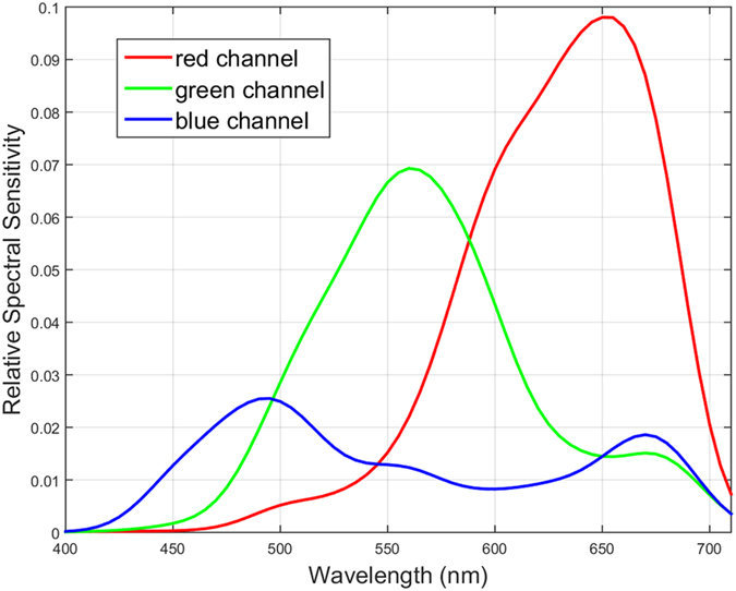 395B5A5F-CCFD-49C7-BE59-77F05045BE80.jpeg