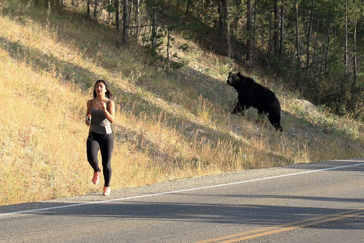 399Jogger.jpg