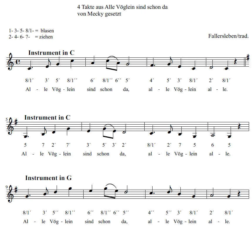 4 takte alle voegel.webp