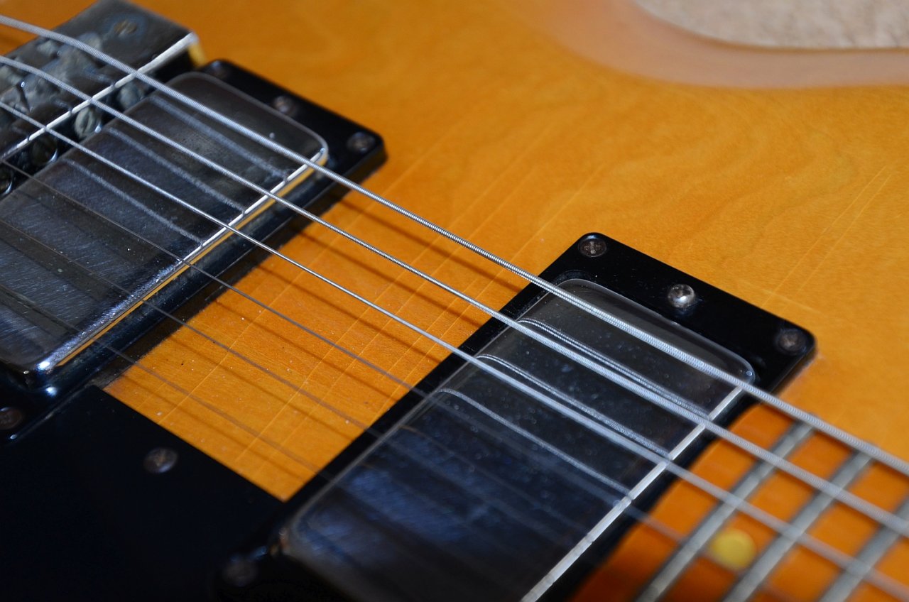 48 Gibson L6-S 1975 31.jpg