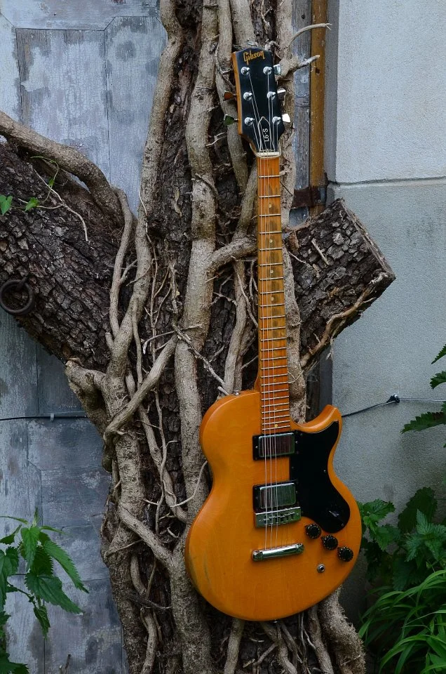 48 Gibson L6-S 1975 51.jpg