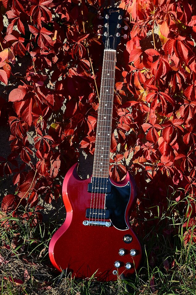 54 Gibson SG Special 2019 Vintage Sparkling Burgundy 34.jpg