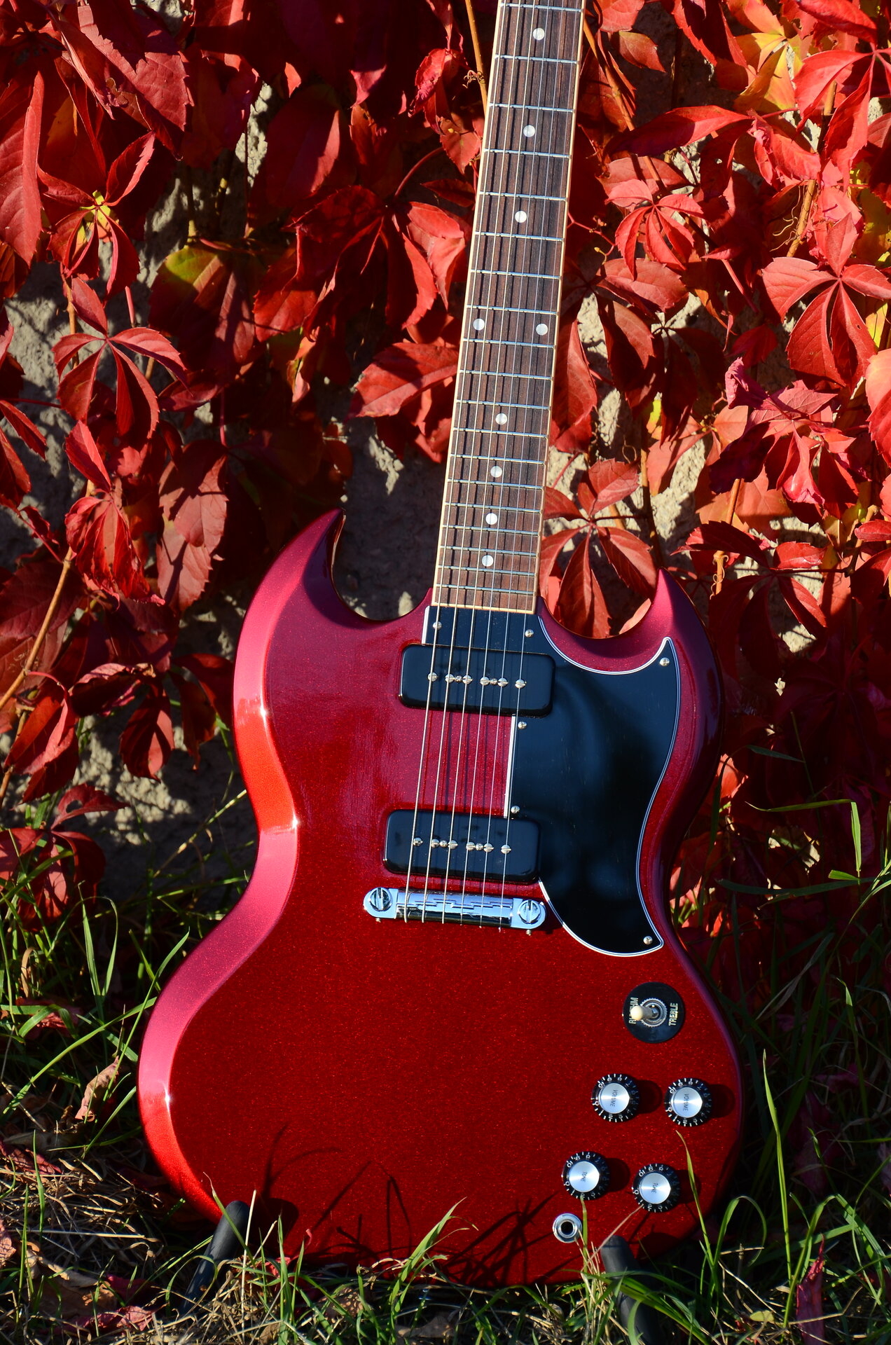 54 Gibson SG Special 2019 Vintage Sparkling Burgundy 35.JPG