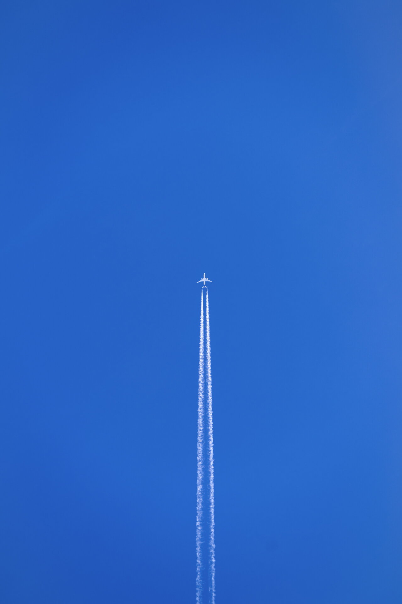 5602.jpg