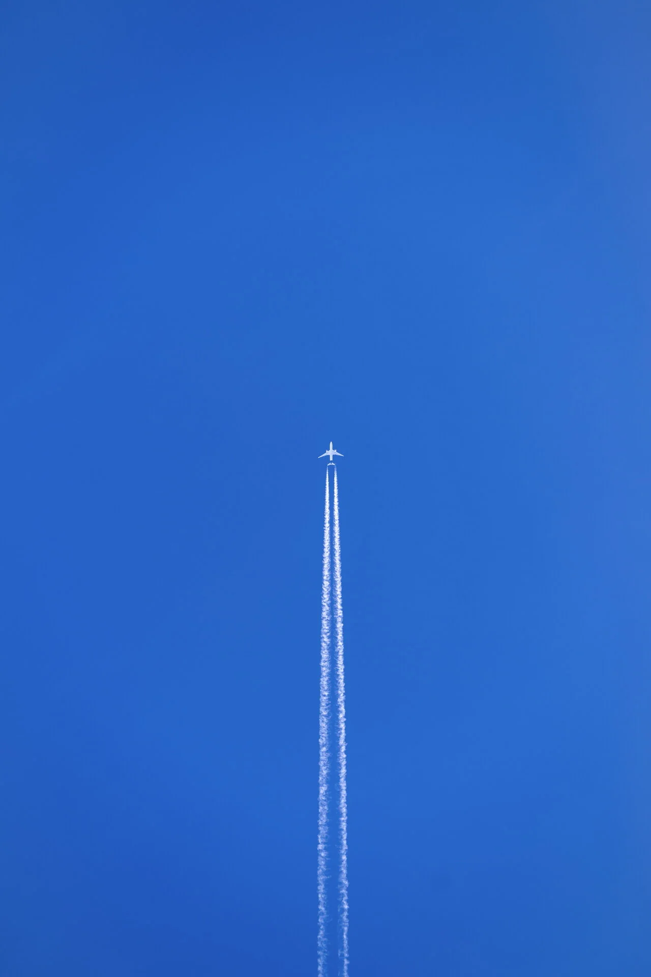 5602.jpg