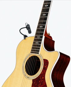 5811663_800.jpg