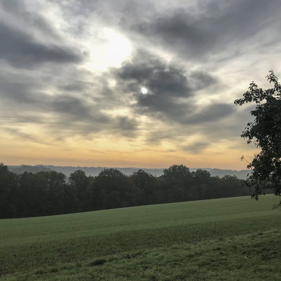 59C4F097-4008-4592-AF96-B64120C40574.jpeg