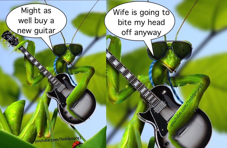 5FA51B96-92FA-4F5D-948C-4BCC7B8E2FCC.jpeg