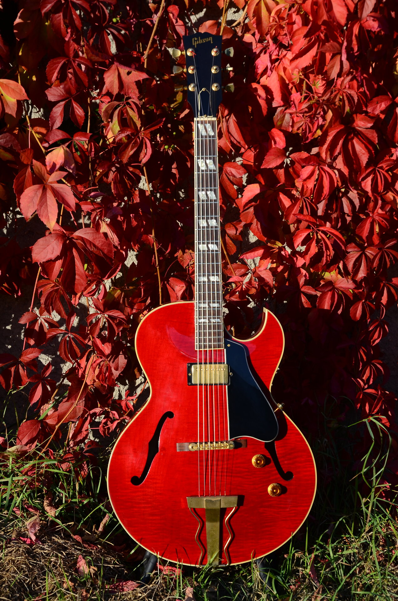 60 Gibson ES 165 70.JPG