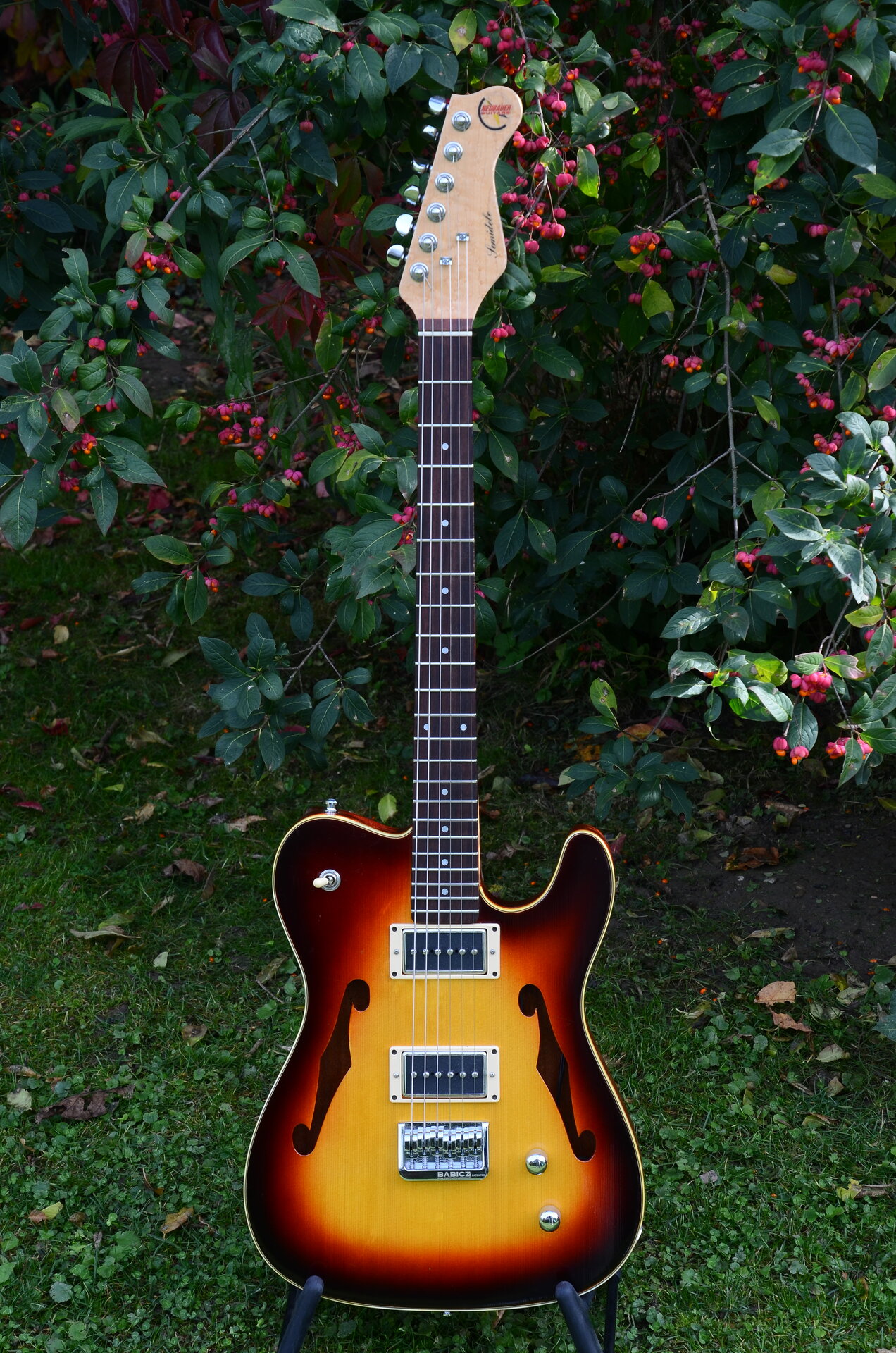 62 Neubauer Semidele 12.JPG