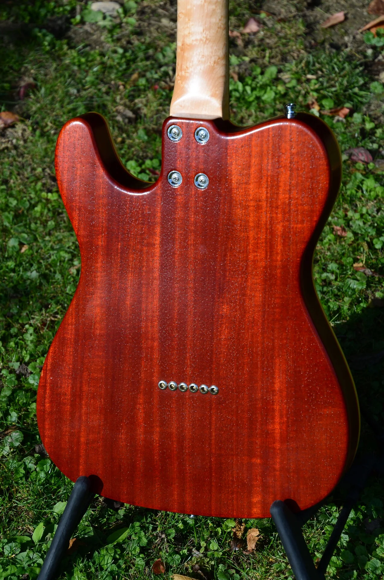 62 Neubauer Semidele 15.webp