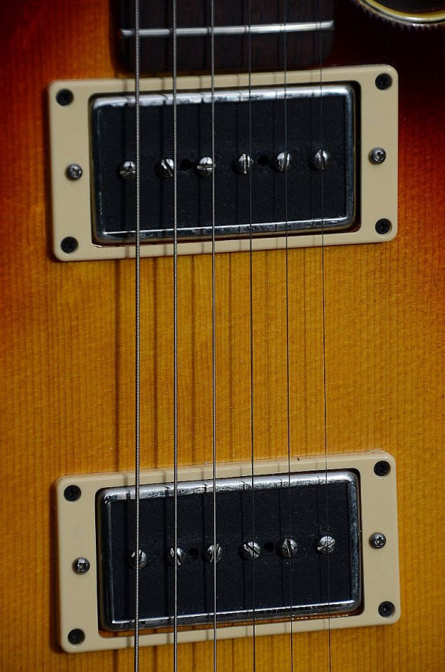 62 Neubauer Semidele 22.jpg
