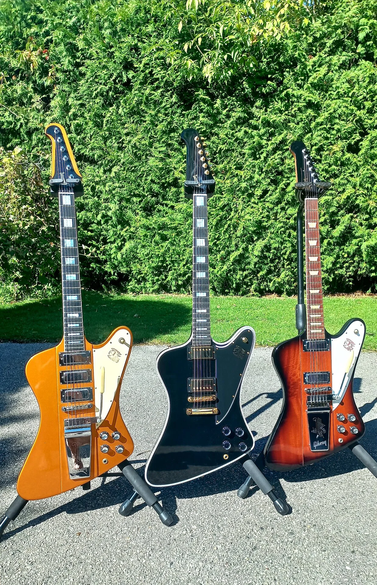 69 Firebirds 04.webp