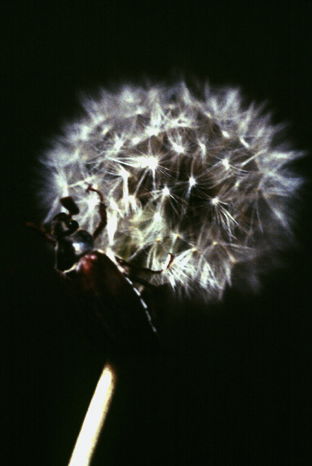 706394_008-0001.jpg