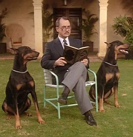 73f81705c58d46712e21e827a3f967e0--black-doberman-doberman-dogs.jpg