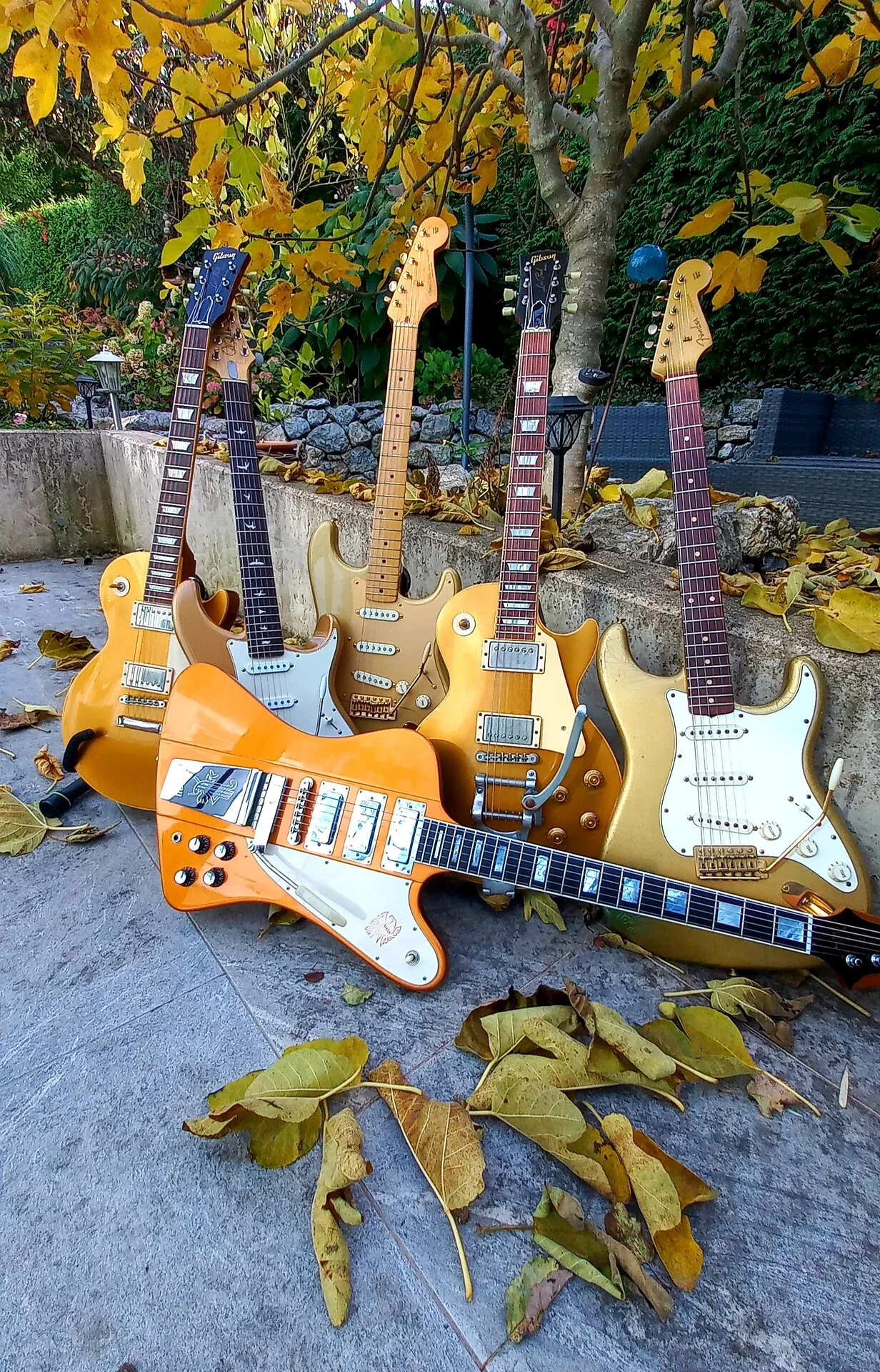 78 Goldstücke 18.webp