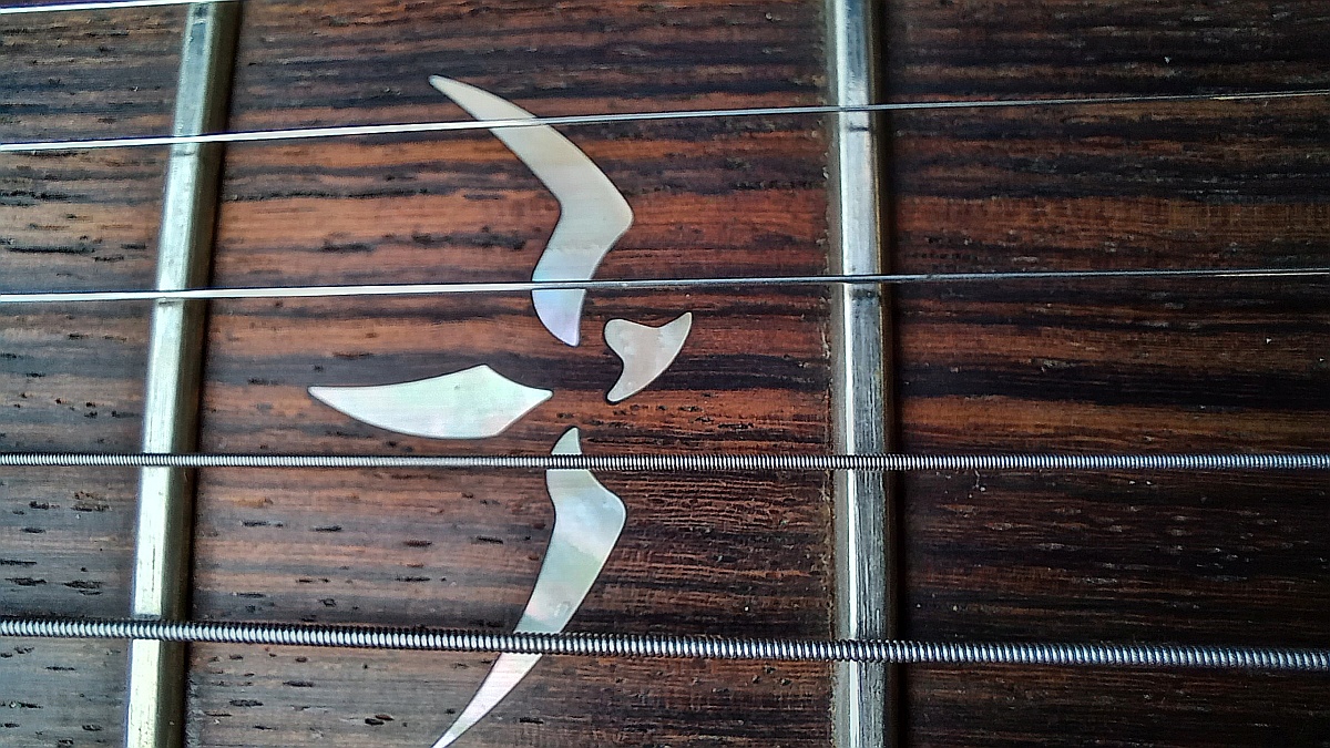 81 PRS 513 2008 13.jpg