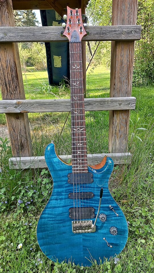 81 PRS 513 2008 16.jpg
