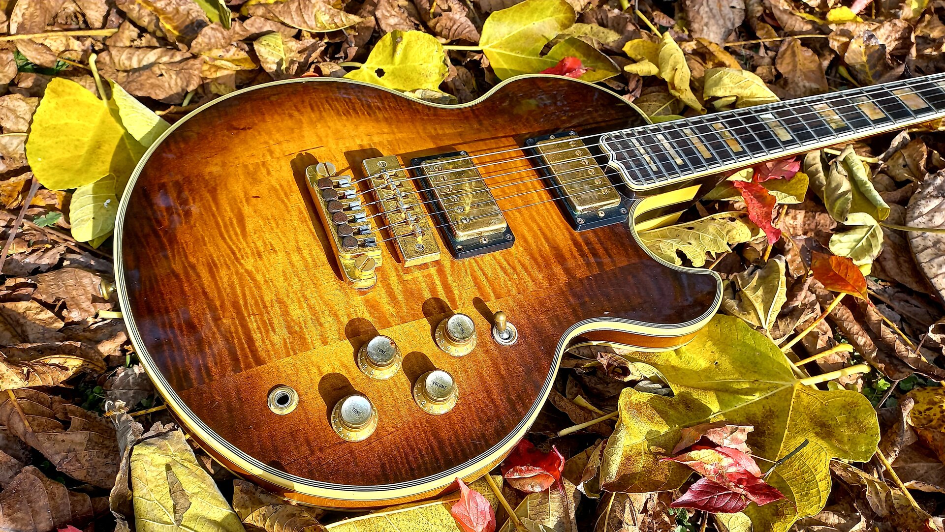 95 Gibson L5-S Antique Sunburst 53.jpg