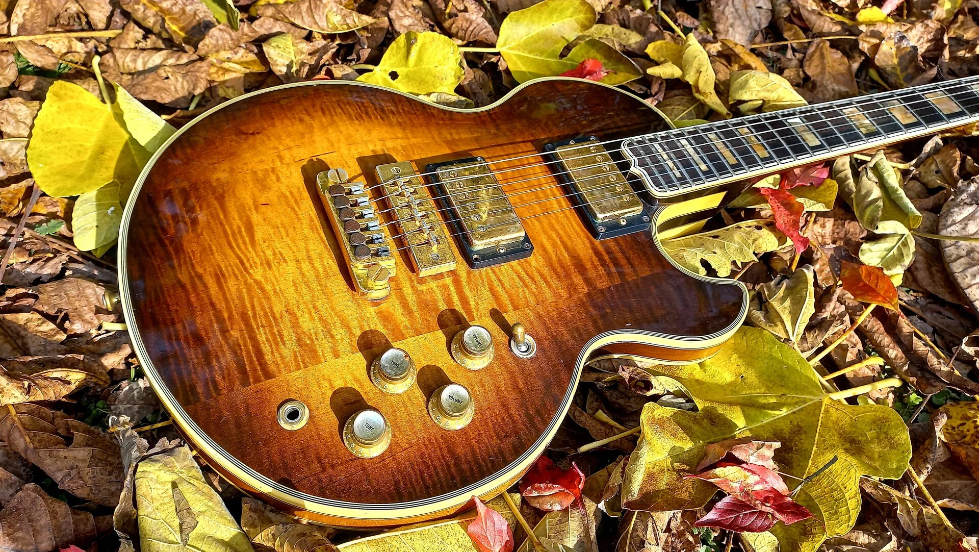 95 Gibson L5-S Antique Sunburst 53.webp