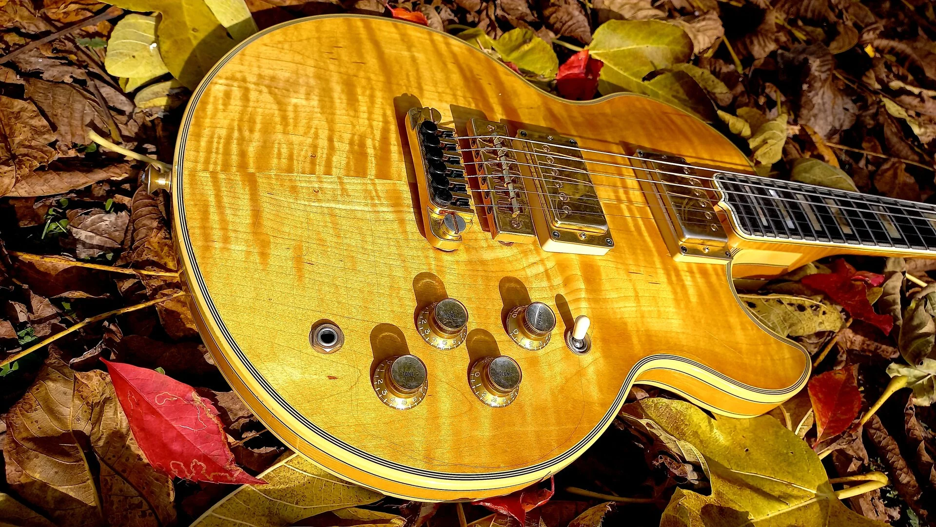 96 Gibson L5-S Natural 54.webp