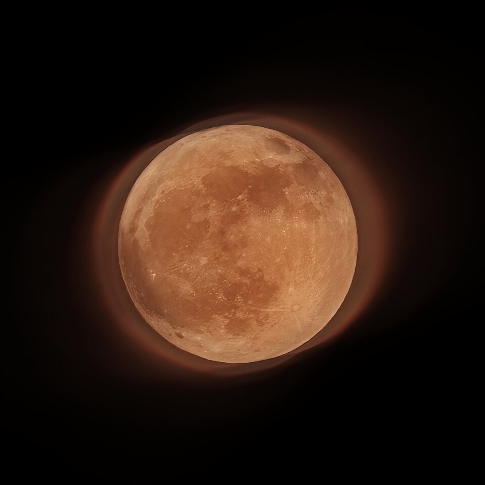 _AST0091--x.jpg